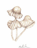 Mushrooms