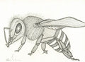 Line Bee