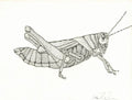 Line Grasshopper