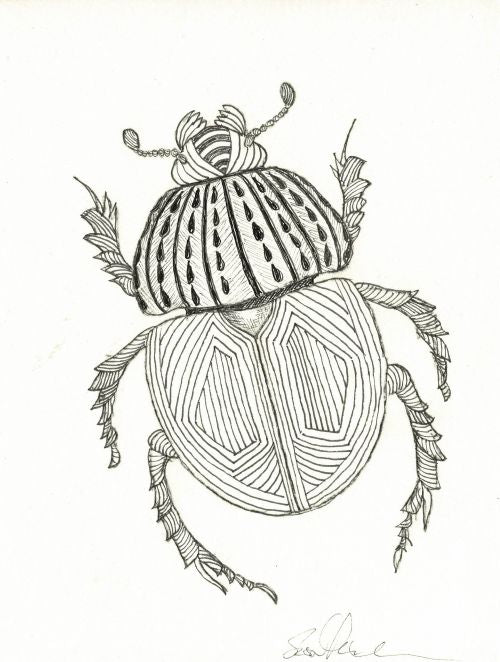 Line Beetle