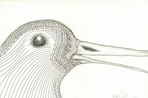 Line Bird