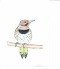 Flicker