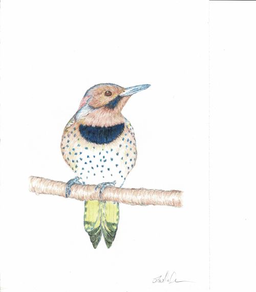 Flicker