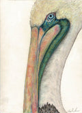 Pelican