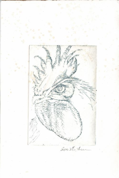Indigo blue Rooster