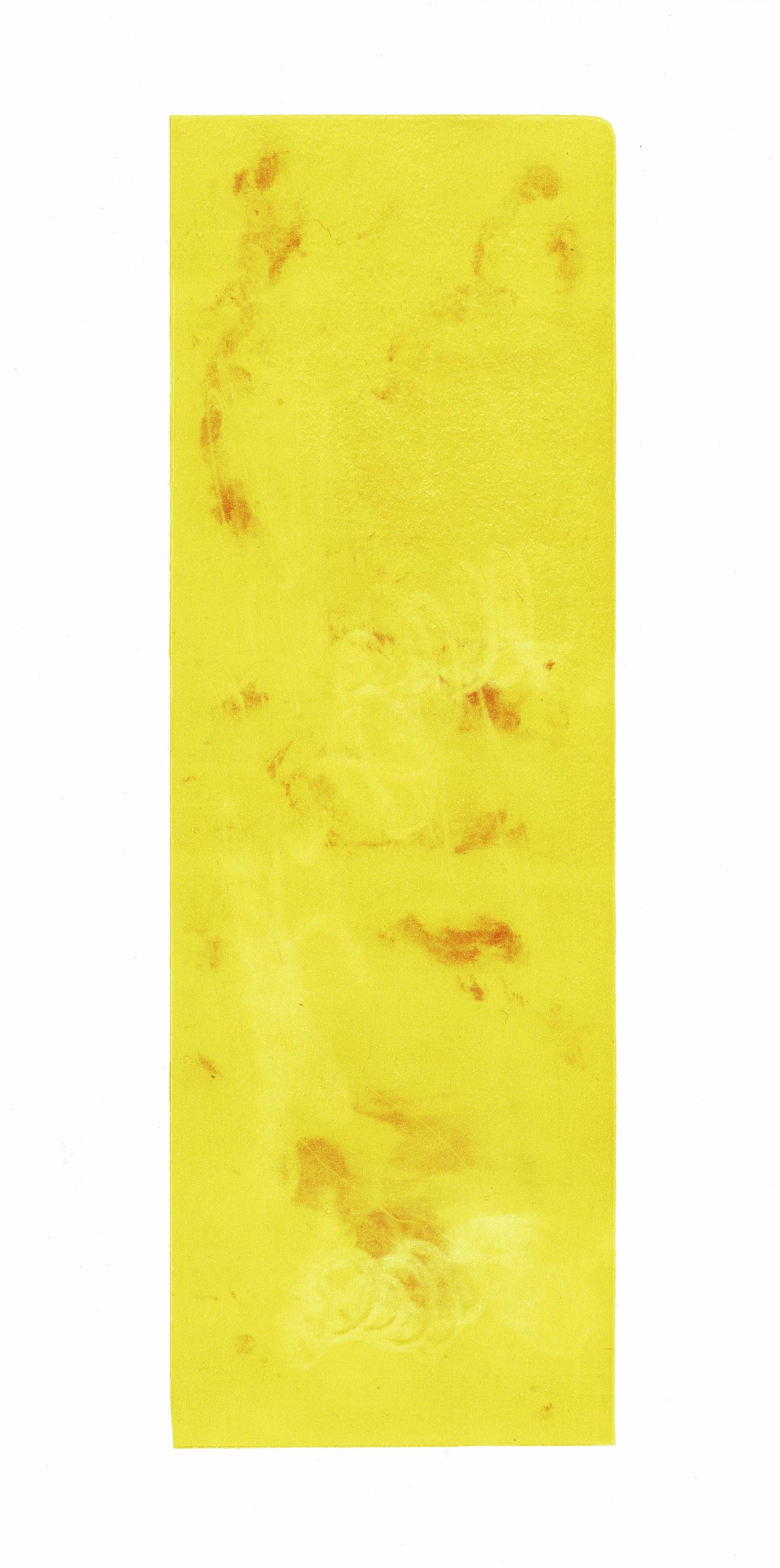Color Study 13