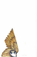 Eurasian Hobby