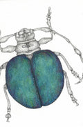 Blue Beetle
